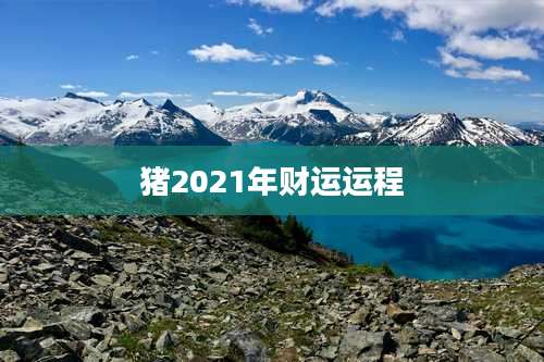 猪2021年财运运程