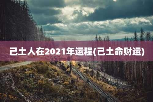 己土人在2021年运程(己土命财运)