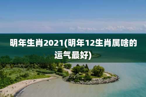 明年生肖2021(明年12生肖属啥的运气最好)