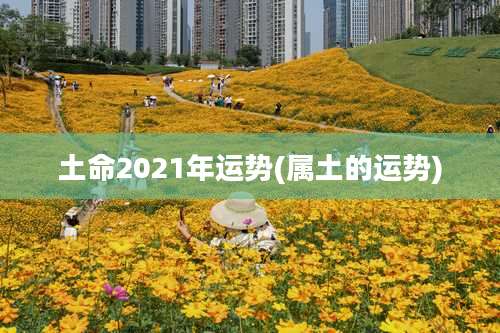 土命2021年运势(属土的运势)