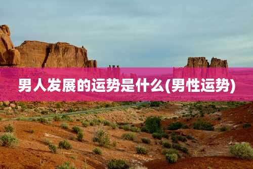 男人发展的运势是什么(男性运势)