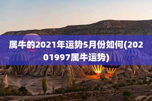 属牛的2021年运势5月份如何(20201997属牛运势)