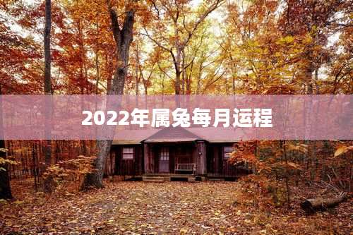 2022年属兔每月运程