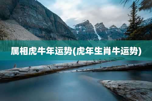 属相虎牛年运势(虎年生肖牛运势)