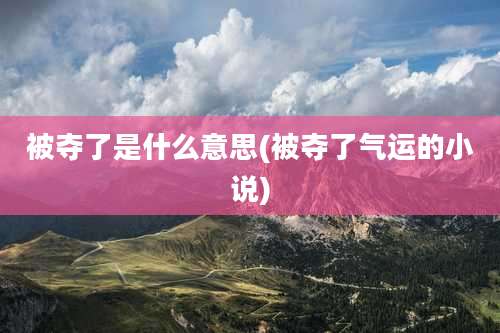 被夺了是什么意思(被夺了气运的小说)