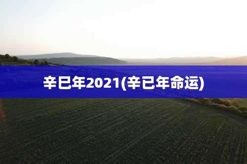 辛巳年2021(辛已年命运)