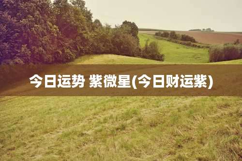 今日运势 紫微星(今日财运紫)