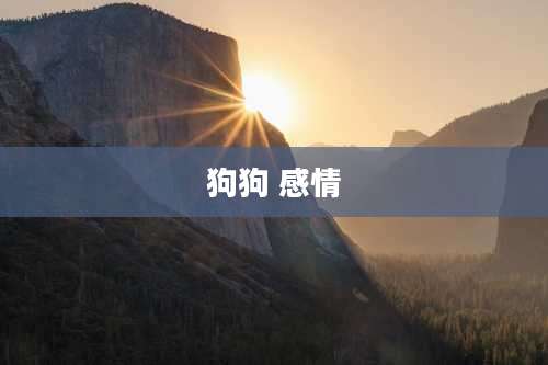 狗狗 感情