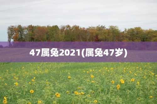 47属兔2021(属兔47岁)