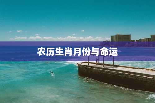 农历生肖月份与命运