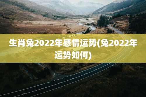 生肖兔2022年感情运势(兔2022年运势如何)