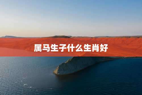属马生子什么生肖好