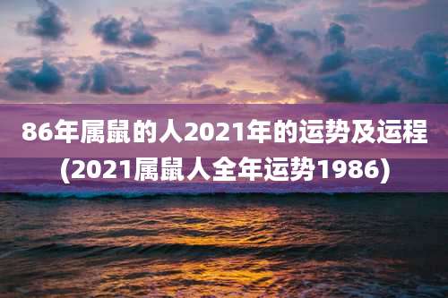 86年属鼠的人2021年的运势及运程(2021属鼠人全年运势1986)