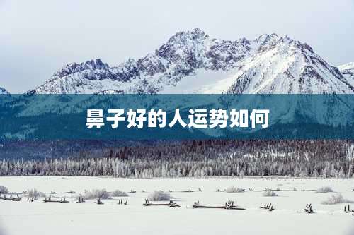 鼻子好的人运势如何