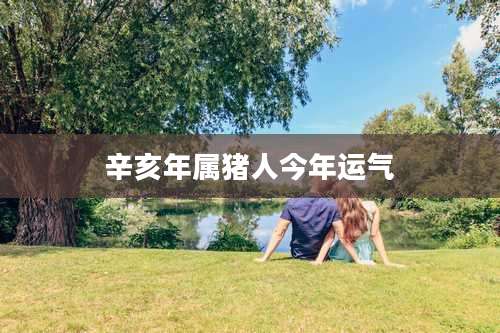 辛亥年属猪人今年运气