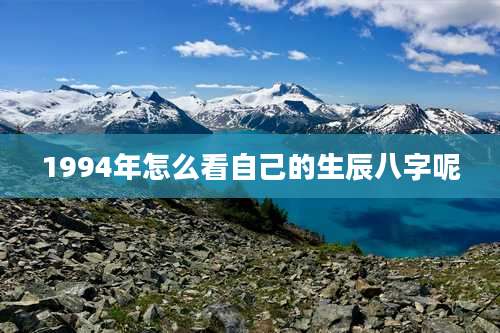 1994年怎么看自己的生辰八字呢