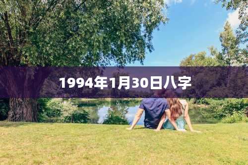 1994年1月30日八字
