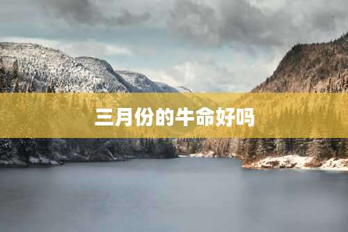 三月份的牛命好吗