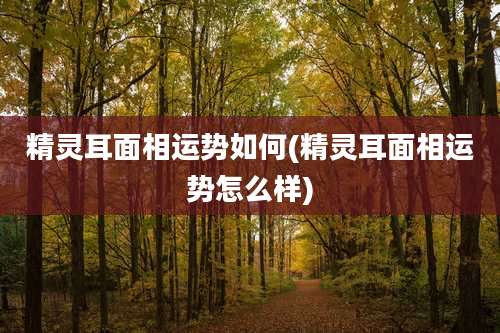 精灵耳面相运势如何(精灵耳面相运势怎么样)