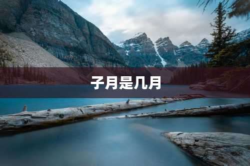 子月是几月