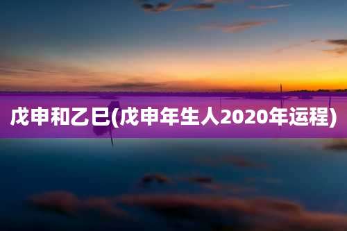戊申和乙巳(戊申年生人2020年运程)