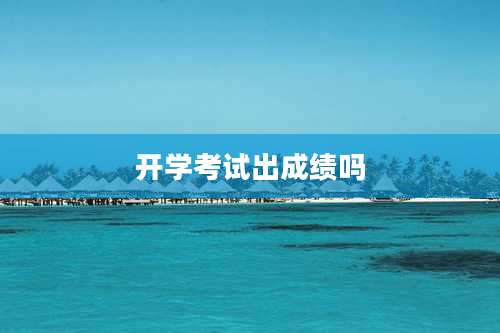 开学考试出成绩吗