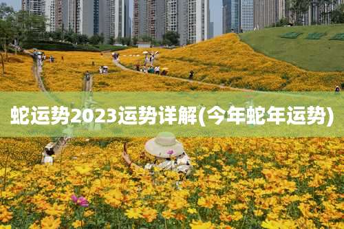 蛇运势2023运势详解(今年蛇年运势)