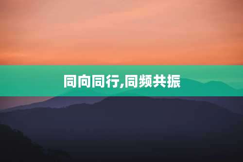 同向同行,同频共振