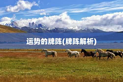 运势的牌阵(牌阵解析)