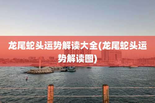 龙尾蛇头运势解读大全(龙尾蛇头运势解读图)