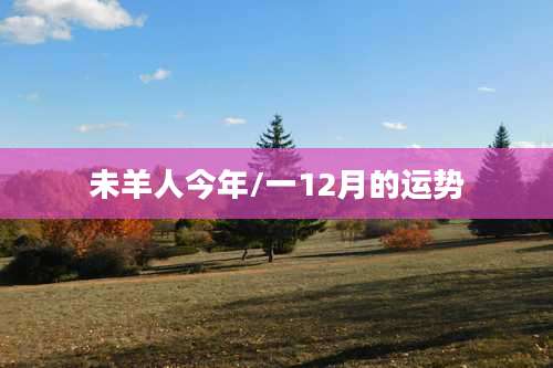 未羊人今年/一12月的运势