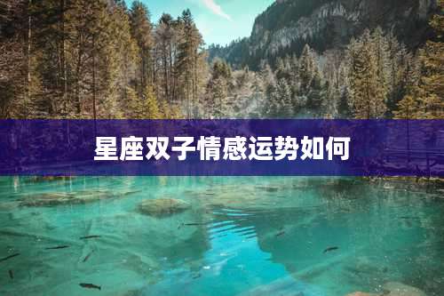 星座双子情感运势如何