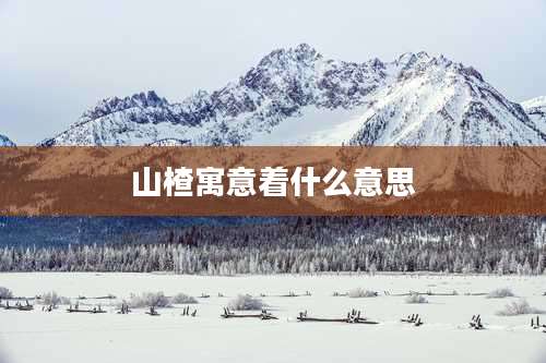 山楂寓意着什么意思