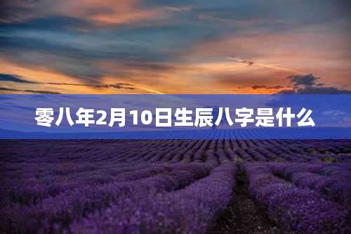 零八年2月10日生辰八字是什么