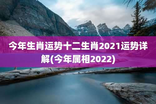 今年生肖运势十二生肖2021运势详解(今年属相2022)
