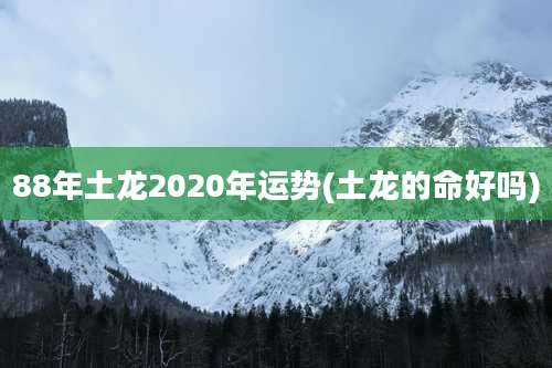 88年土龙2020年运势(土龙的命好吗)