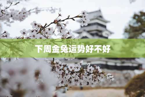 下周金兔运势好不好