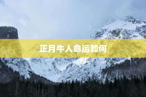 正月牛人命运如何