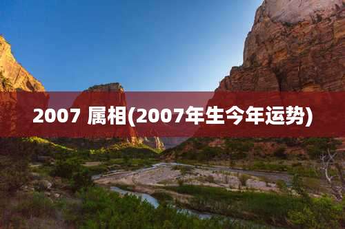 2007 属相(2007年生今年运势)