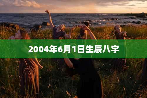 2004年6月1日生辰八字