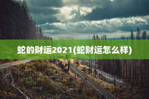 蛇的财运2021(蛇财运怎么样)