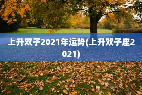 上升双子2021年运势(上升双子座2021)