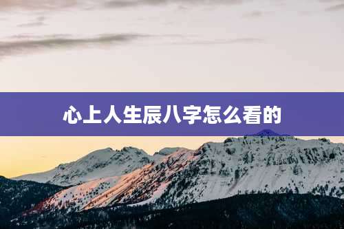 心上人生辰八字怎么看的