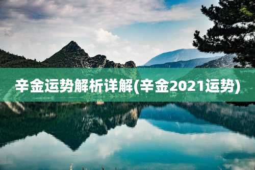 辛金运势解析详解(辛金2021运势)