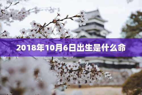 2018年10月6日出生是什么命