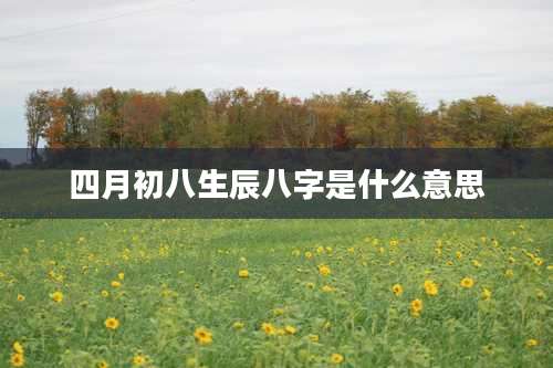 四月初八生辰八字是什么意思