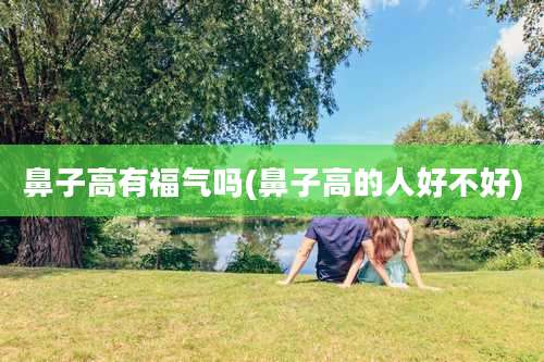 鼻子高有福气吗(鼻子高的人好不好)