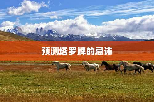 预测塔罗牌的忌讳