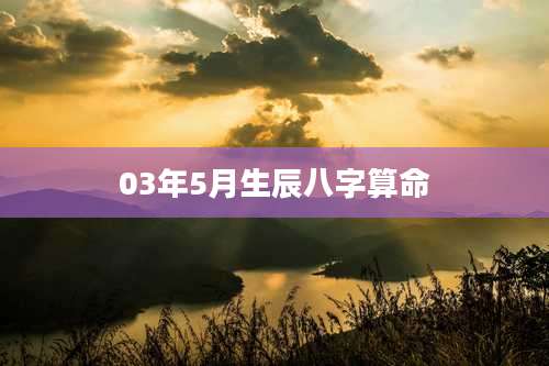 03年5月生辰八字算命