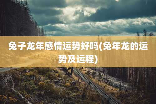 兔子龙年感情运势好吗(兔年龙的运势及运程)